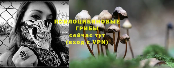 твердый Карпинск