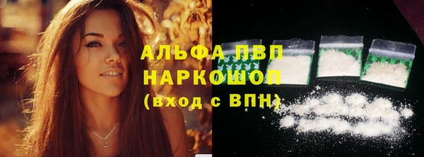 индика Карталы