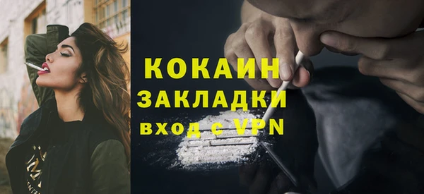 твердый Карпинск