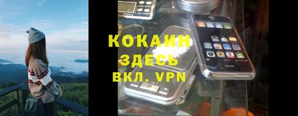твердый Карпинск