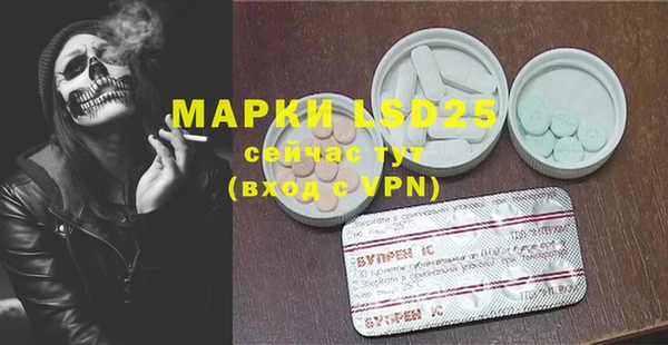 индика Карталы
