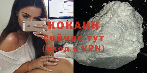 индика Карталы