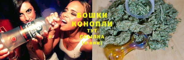 индика Карталы