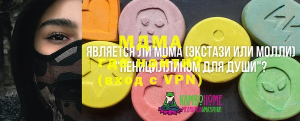 индика Карталы