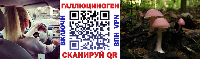 Псилоцибиновые грибы ЛСД Купить закладки Лосино-Петровский